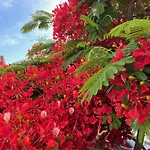 Apartmán Balandros 216